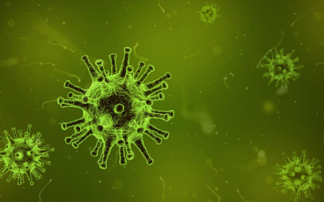 Corona Virus – Keine Panik